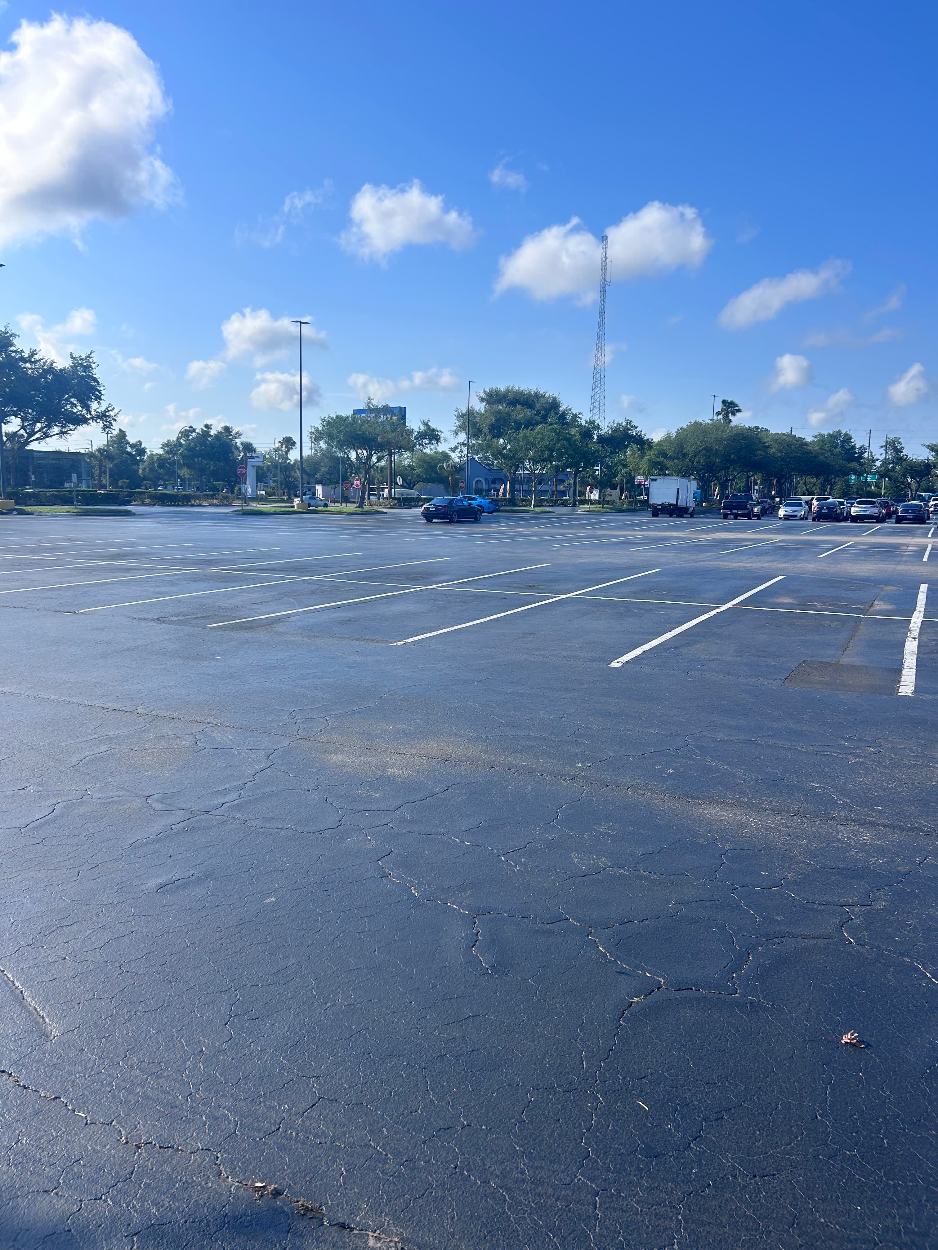 Grounds cleanup service
