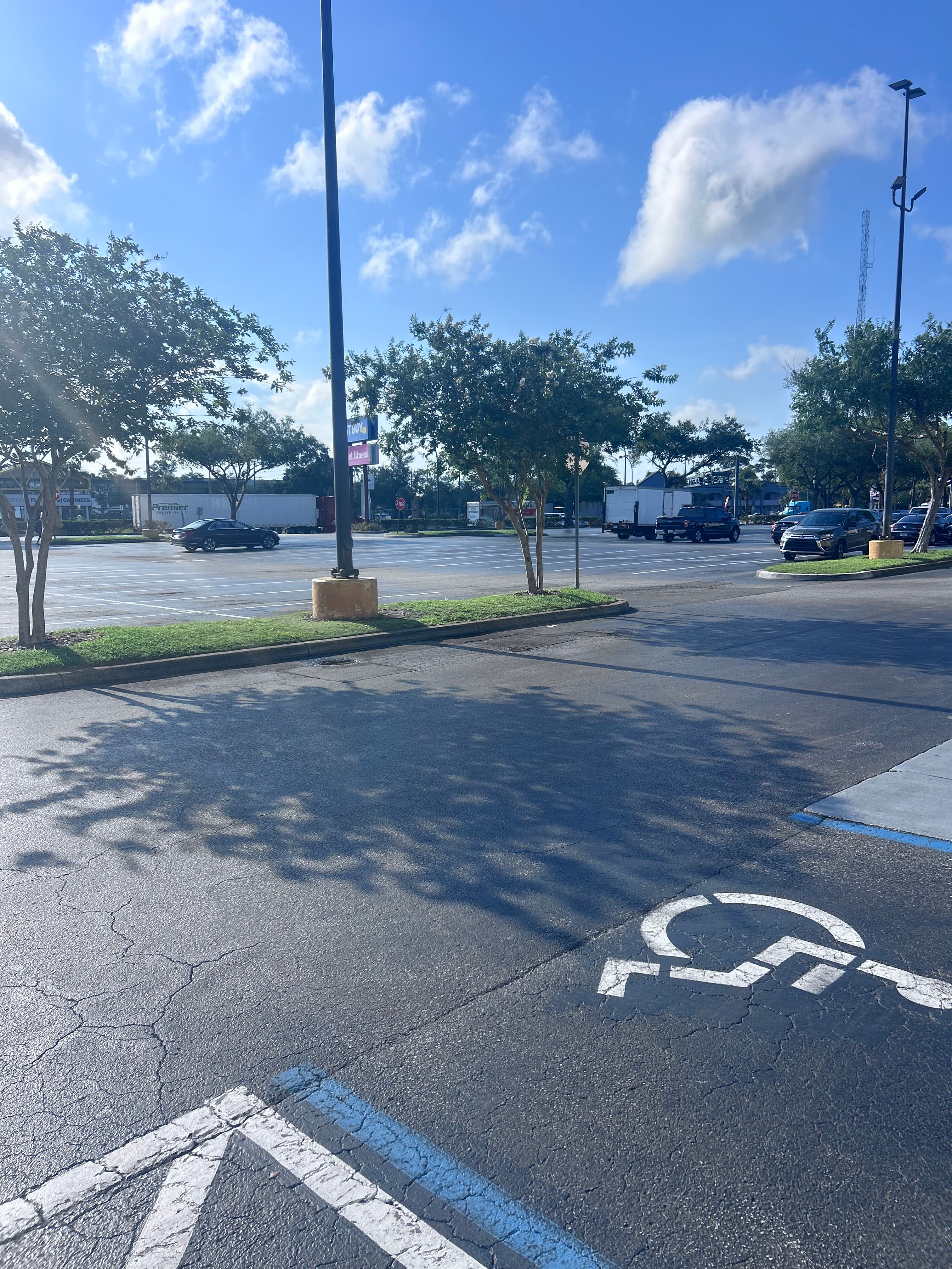Grounds cleanup Central Florida